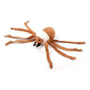 Brown spider toy with a white wool body with it's legs spread out on a white background. 