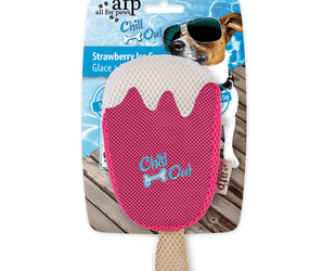 Pink ice lolly plush dog toy with white melted effect pictured on cardboard backing which has a Jack Russell dog with sunglasses on. Packaging text says 'strawberry Ice Cream' and 'soak in water' pictured on a white background. 