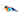 An Ancol chirping multicoloured Bullfinch bird shaped plush cat toy, shown on a white background.