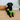 Black labrador with a green Ancol Lottie the Loch Ness Monster dog toy with a red plaid underside in-between it's paws, pictured on carpet with a basket and plant in the background.