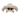White background with a fluffy brown Sid the Spider dog toy pictured.