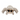 White background with a fluffy brown Sid the Spider dog toy pictured.