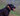 Black Labrador dog outside with a orange autumn themed collar with an Ancol Safety Light Blinker attached. 