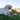 Yellow Labrador dog lying on grass with an Ancol Heritage plush toy deer, made of soft brown and white fabric with black hooves and ears, between its paws
