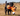 A black Labrador dog running through dry grass outdoors while holding an Ancol Heritage orange fox plush toy with white and black accents in its mouth.