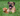 Mastiff dog lying in the grass with An Ancol Heritage Highland cow plush dog toy with shaggy brown fur.