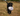 Black Labrador dog carrying an Ancol Heritage plush hedgehog toy with soft gray faux fur, a cream-colored face, and small brown stitched claws, pictured outdoor in a field.