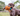 A brown English pointer dog holding an Ancol Heritage plush pheasant toy with a brown shaggy body in it's mouth, pictured outside on grass.