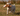 Yellow Labrador dog carrying an Ancol Heritage plush weasel toy with brown fur, a white chest, and plaid patterned ears, pictured outdoor in a field. 