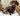 A brown and tan dachshund sat in a wicker chair with cushions and an Ancol plush mini leopard dog toy lying next to it.