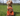 A light brown poodle cross breed dog with an Ancol Orangutan dog toy sat in front of it, pictured on grass.