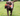 Chocolate Labrador dog carrying a orange and brown Ancol Rosa Red Panda dog toy in a garden. 