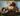 A light brown long-haired Dachshund dog standing on a log with an Ancol plush sloth dog toy with a dark grey body, next to the dog. With a lake pictured in the background. 