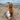 Pomeranian dog sat next to a Ancol Made From Seagull dog toy on a beach with St.Micheals Mount in the background. 