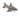 White background with an grey and white Ancol Made From Shark dog toy.