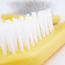 White background with a close up of a small Ancol yellow brush with white bristles for rabbits. 