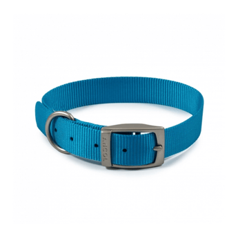 White background with a blue Ancol Buckle collar with a metal buckle and D-ring.