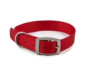 White background with a red Ancol Buckle collar with a metal buckle and D-ring.