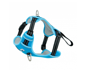 An Ancol Viva bright blue and grey mesh dog harness with silver metal rings and white contrast stitching, shown against a plain white background.
