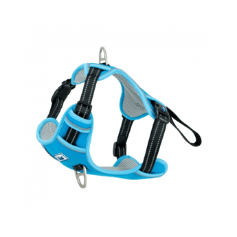 An Ancol Viva bright blue and grey mesh dog harness with silver metal rings and white contrast stitching, shown against a plain white background.