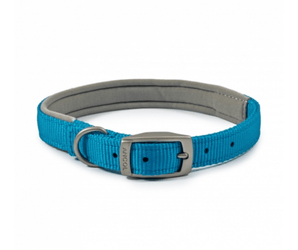 White background with a blue Ancol Padded collar with a metal buckle and D-ring.