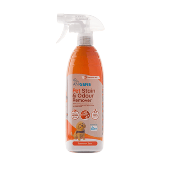 A bottle of ANIGENE Pet Stain & Odour Remover spray with a clear trigger sprayer and orange label, shown on a plain white background.