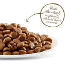 Applaws Adult Cat Chicken Kibble