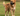 Golden Retriever type dog wearing a black basket Baskerville ULTRA dog muzzle with black fabric straps, pictured outside.