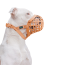 White boxer dog wearing a brown basket Baskerville WIDE FIT dog muzzle. 