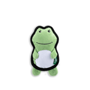 BECO green frog  dog toy