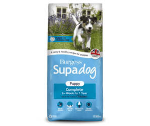 White background with a bag of Burgess Supadog Puppy dry food. On the bag is a Jack Russell puppy running in a garden. Text on the bag reads 'Burgess SupaDog,Puppy Complete, 6+ weeks to 1 year, with tasty chicken'. 