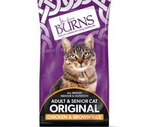 White background with a purple bag of Burns Adult Cat food. On the bag an adult brown tabby cat is pictured with text 'All Breeds, Indoor & Outdoor, Adult & Senior, Original, Chicken & Brown Rice' 