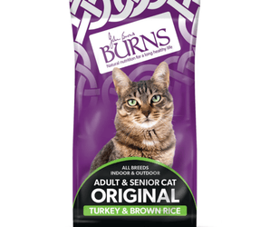 White background with a purple bag of Burns Adult Cat food. On the bag an adult brown tabby cat is pictured with text 'All Breeds, Indoor & Outdoor, Original, Adult & Senior, Turkey & Brown Rice' 