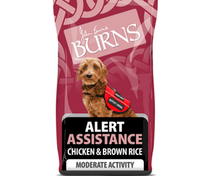 White background with a bag of Burns Alert Assistance Chicken dry dog food, pictured on the bag is a terrier type dog below is text 'Alert Assistance Chicken & Brown Rice, Moderate Activity'.