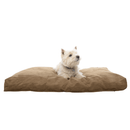 Kruuse Dog looking left