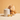 Dog with a Calibra bone-shaped treat next to a white ceramic container on a beige background