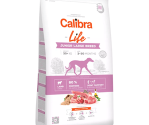 Calibra Life | Large Junior Dog | Lamb