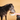 A senior black dog eating Calibra dry dog food from a white bowl held by a person against a warm beige background.
