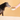 A black dog looks at a white bowl filled with kibble held by a human hand against a warm beige background.