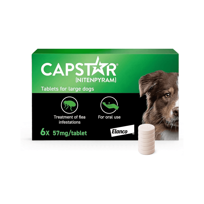 CAPSTAR tablet packaging for large dogs with a dog image on a white background