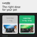 CAPSTAR pet medication packaging for cats and dogs with dosing information.