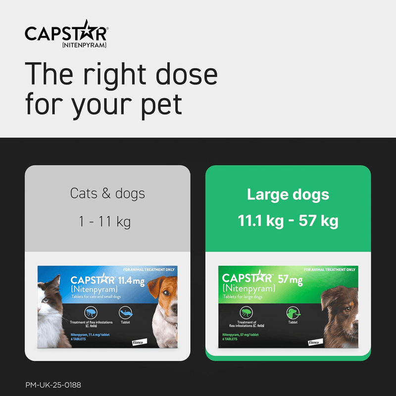 Capstar Flea Tablets for Medium Large Dogs - Main Image
