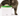 White background grey long hair tabby cat drinking from a Catit water fountain for cats with a green top plate with a flower in the centre. 