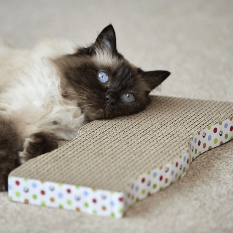 Cream coloured cat with brown points and blue eyes lying it's head on wave shaped corrugated cardboard scratcher with spotty details around the outside. 