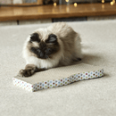Cream coloured cat with brown points and blue eyes scratching at wave shaped corrugated cardboard scratcher with spotty details around the outside. 