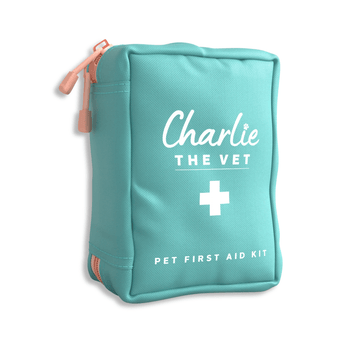White background with a green zipped up rectangle-shaped bag for a Charlie the Vet Mini Pet First Aid Kit.