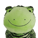 Close up of Frog shaped dog toy's green face, showing stitched eye, nostril and smile details, stripy green and black body partially visible on a white background. 