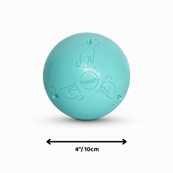 A bright mint blue polymer dog toy ball with embossed dog icons and the brand name 'Coachi' in the centre shown on a clean white background. Shown on a white background with a black dimension arrow labelled 4"/10cm below it.