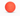 A bright coral orange polymer dog toy ball with embossed dog icons and the brand name 'Coachi' in the centre shown on a clean white background.
