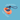 Blue background with a Coachi Training Multi-Clicker in coral with a navy button with measurements listed around it.